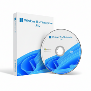 Windows 11 IoT Enterprise