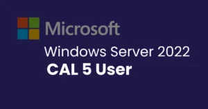 Windows Server 2022 CAL 5 Users R18-06466
